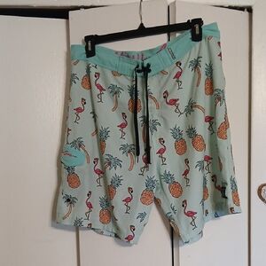 Nau Aqua Flamingo and Pineapple Shorts